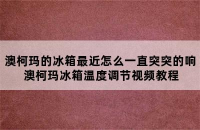 澳柯玛的冰箱最近怎么一直突突的响 澳柯玛冰箱温度调节视频教程